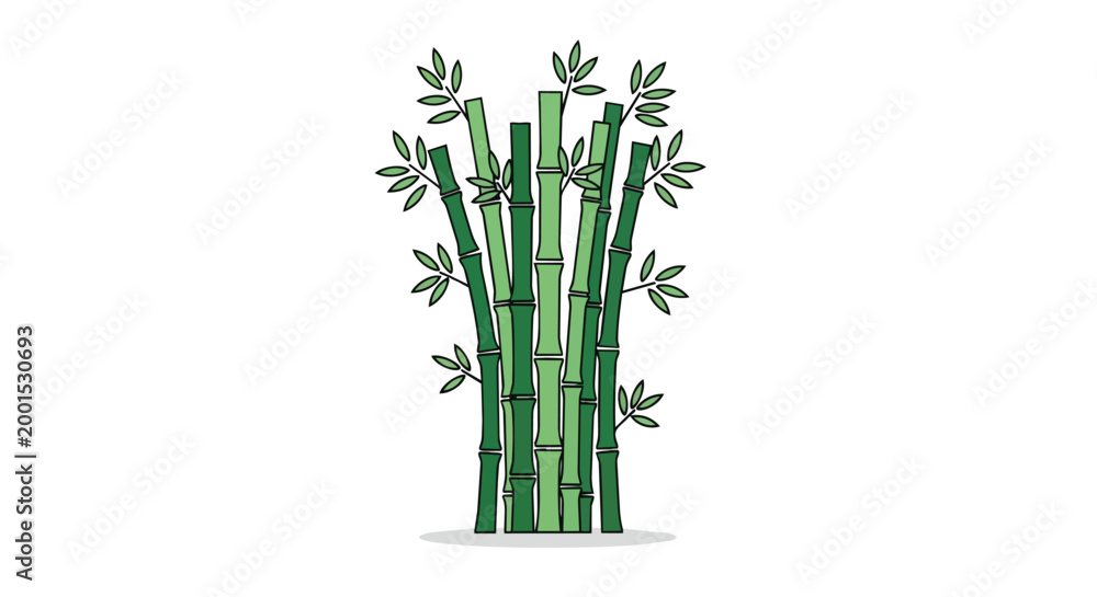 Obraz premium Green Bamboo Tree Stalks with Leaves Vector Illustration Hand Drawn Style Isolated on White Background