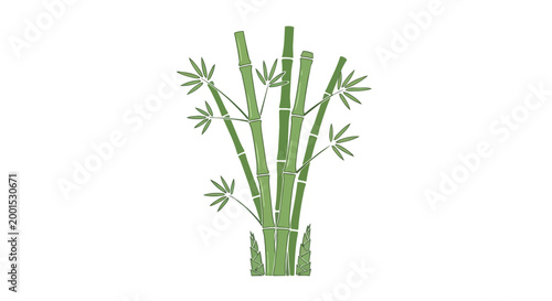 Green Bamboo Stalks with Leaves Vector Illustration, Tropical Nature Plant Element, Asian Zen Style Botanical Decoration on White Background
