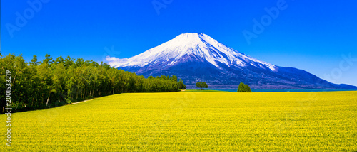 Cuadro en lienzo 美瑛の美しい田園風景と富士山合成