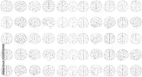 Brain anatomy illustrations set with detailed line drawings of human brains from various angles and perspectives, showcasing cerebral structures.