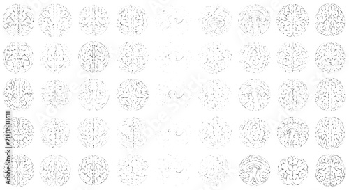Brains medical illustration set with detailed anatomical structures and neural pathways featuring brain, anatomy, neurons with synapses and cortex