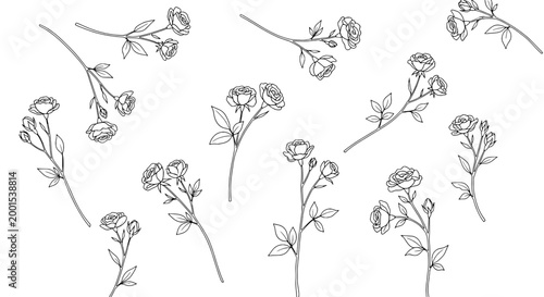 Flower line art set with delicate rose stems and leaves, minimal black outline doodles for wedding and decor designs