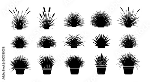 Flower plant doodle set with potted sprouts and burst scribble leaves, hand sketch style for garden and decor design