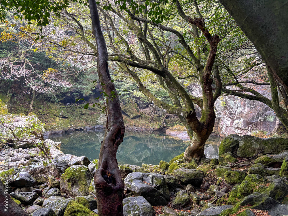 Obraz premium Korea Jeju hiking course lake view