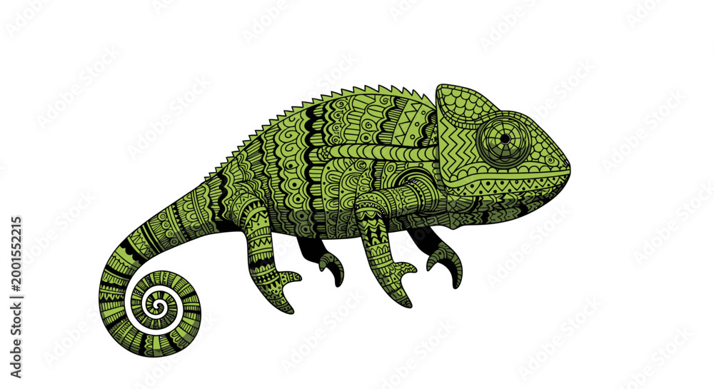 Obraz premium Intricately detailed green chameleon illustration with a curled tail on a white background.