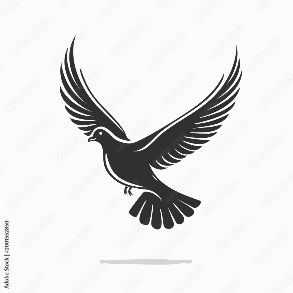 Fototapeta premium Silhouette of a Dove in Flight