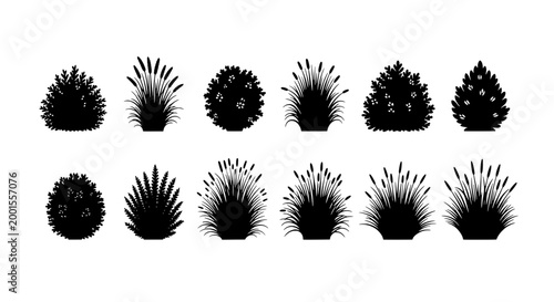 Plants set with various shapes and styles in black silhouette featuring nature, botanical, garden with flora and vegetation elements for leafy, bushy