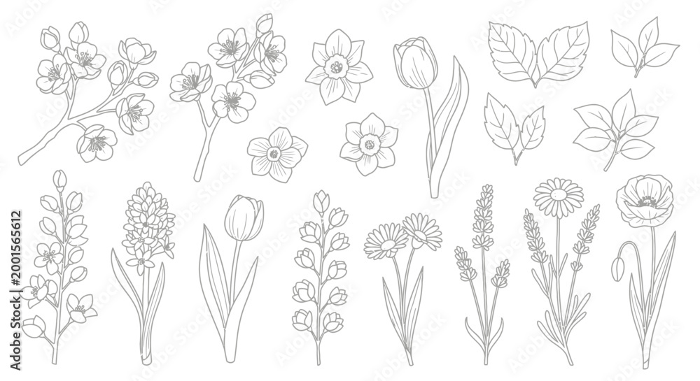 Fototapeta premium A collection of detailed line art drawings featuring various spring flowers and botanical elements, perfect for coloring or design projects.