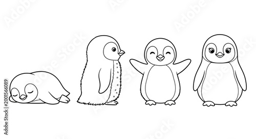 Cute penguin icons, black and white line art, cartoon penguin set, 4 penguin illustrations