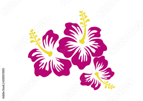 abstract flower vector illustration