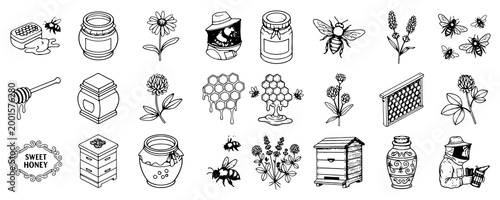 Hand-drawn beekeeping and honey production sketches set
