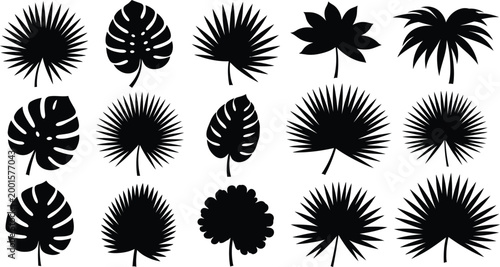 Black silhouettes of various tropical leaves, including palm and monstera leaves, on a white background