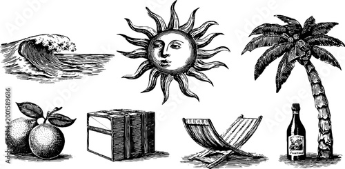 Assorted tropical objects displayed as vintage ink illustrations