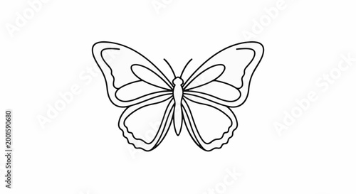 Black and white line art drawing of a butterfly with wide wings spread open