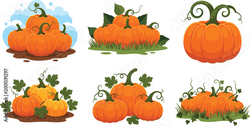 Pumpkin Patch Icon Set with Autumn Harvest Gourds and Fall Season Elements for Halloween, Thanksgiving, Farming, and Seasonal Nature Illustrations