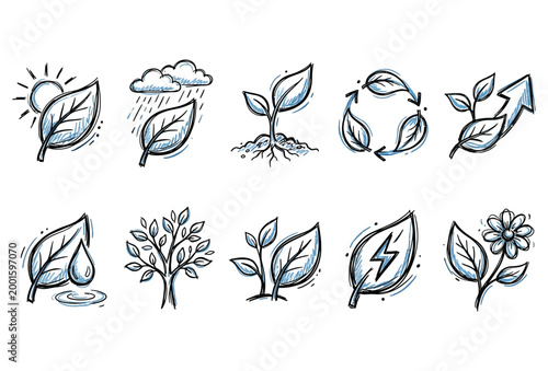 Leaf Icon Set – Hand Drawn Botanical Nature Vector Pack