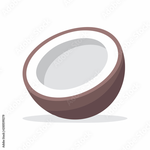 Half Coconut Illustration