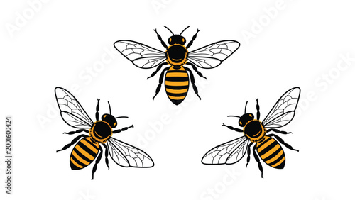 Three Stylized Honey Bees Illustration Isolated on White Background