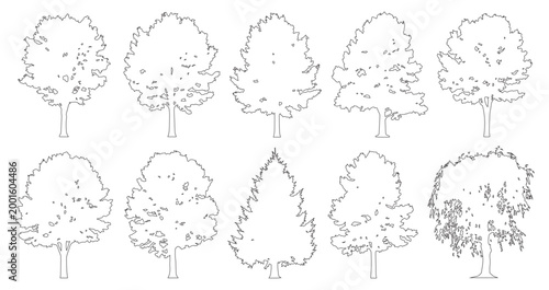 Schilderij op canvas Minimal style cad mixed weeping and conifer tree line drawing, Side view, set of graphics trees elements outline symbol for architecture landscape design