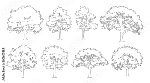 Minimal style cad spreading tree line drawing, Side view, set of graphics trees elements outline symbol for architecture landscape design drawing. Vector illustration. forest garden section
