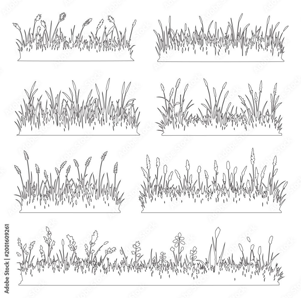 Obraz premium Grass outline set, Minimal meadow line drawing, Side view wild plants and lawn elements for architecture landscape garden design. Vector illustration, outdoor field section