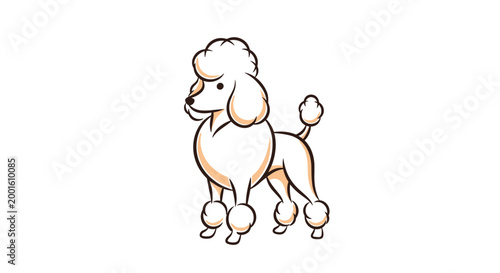 Elegant white poodle standing in a classic show groom pose, rendered in a clean and stylish vector illustration on a white background.
