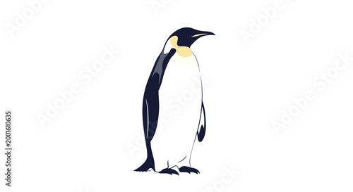 Single emperor penguin standing tall in a classic profile view, showing its black and white plumage and yellow neck markings on a white background.