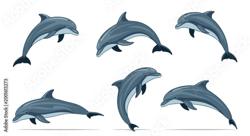 Set of grey dolphins is depicted jumping and swimming in various playful poses, capturing graceful movement in a clean vector illustration.