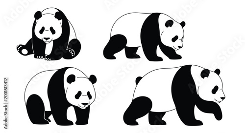 Group of giant pandas is depicted in various natural behaviors like sitting, walking, and exploring in a black and white vector style.