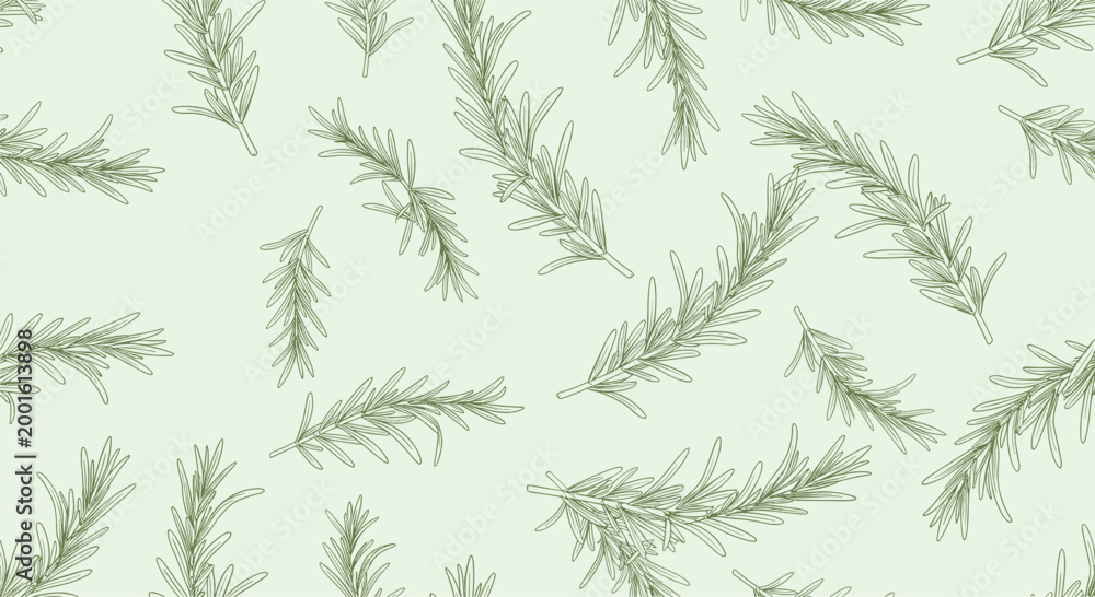 Fototapeta premium Seamless pattern design featuring hand-drawn green rosemary sprigs in an organic and tossed layout on a soft light green background.