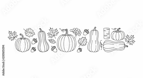 Autumn harvest of pumpkins, gourds, acorns, and leaves in simple line art