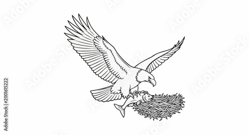 An eagle grasps a fish over a nest in a line art drawing