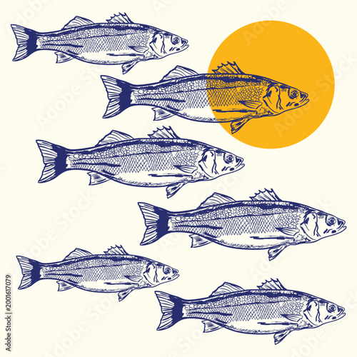 Seabass Fish Coastal Sun Minimal Summer Marine Artwork