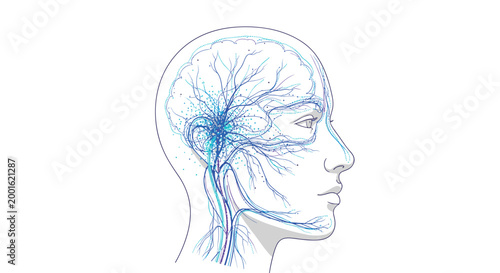 A minimalist linear profile of a human head depicts delicate blue and purple neural network pathways emanating from the central brain structure on a white background.