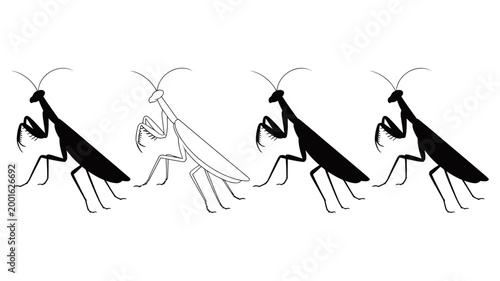 Collection of praying mantis silhouettes and outline with silhouette illustration creature isolated