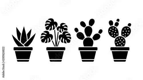 Potted plants collection: aloe vera monstera cactus varieties with houseplant monstera succulent silhouette