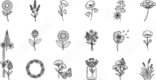 Set of hand drawn wildflower icons and floral elements for botanical design and nature themed projects
