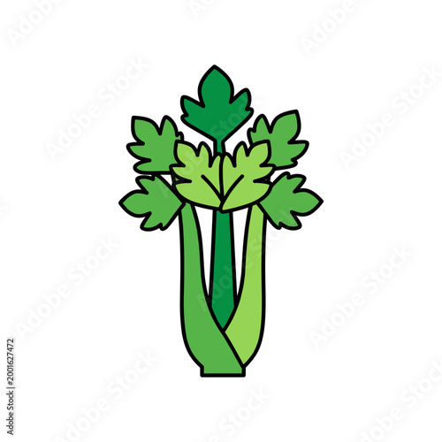 A bunch of fresh green celery stalks with leaves is shown against a white background.
