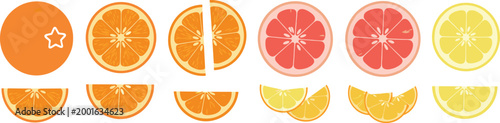 Citrus Fruit Slice Collection Set with Orange Grapefruit Lemon and Lime Segments Fresh Juicy Cartoon Vector Illustration for Food Design and Healthy Lifestyle