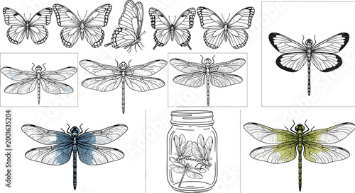 Vintage engraving style dragonfly and butterfly illustration set with blue, yellow colorful and jar collection on dark background