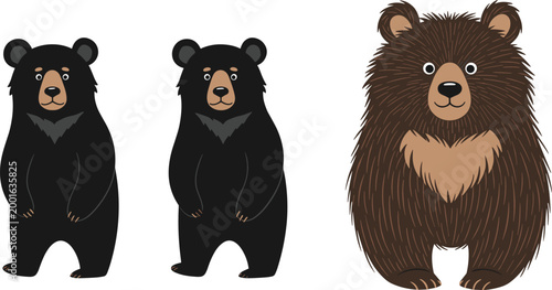 Tableau sur toile Bear Vector Illustration Set Featuring Black Bear and Brown Bear Characters in C