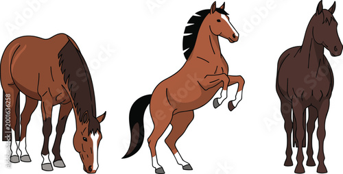 Brown Horse Illustration Set Featuring Grazing, Rearing, and Standing Poses for Equestrian, Farm, and Animal Designs