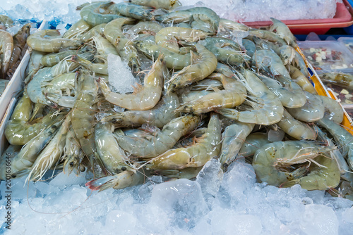 Fresh Prawns on Ice: A tantalizing display of raw prawns, perfectly chilled and ready for culinary delights. An image that celebrates the freshness of the sea.