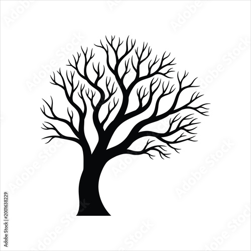 Bare deciduous tree silhouette during winter with intricate branches Vector Illustration Isolated on white background