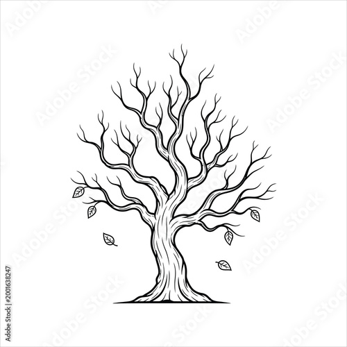 Bare deciduous tree with falling leaves during autumn in line art style Isolated on white background