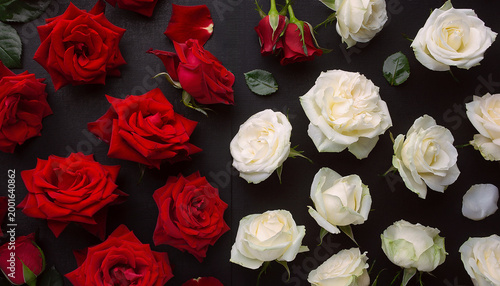 黒背景をうめる赤と白の薔薇の花びら