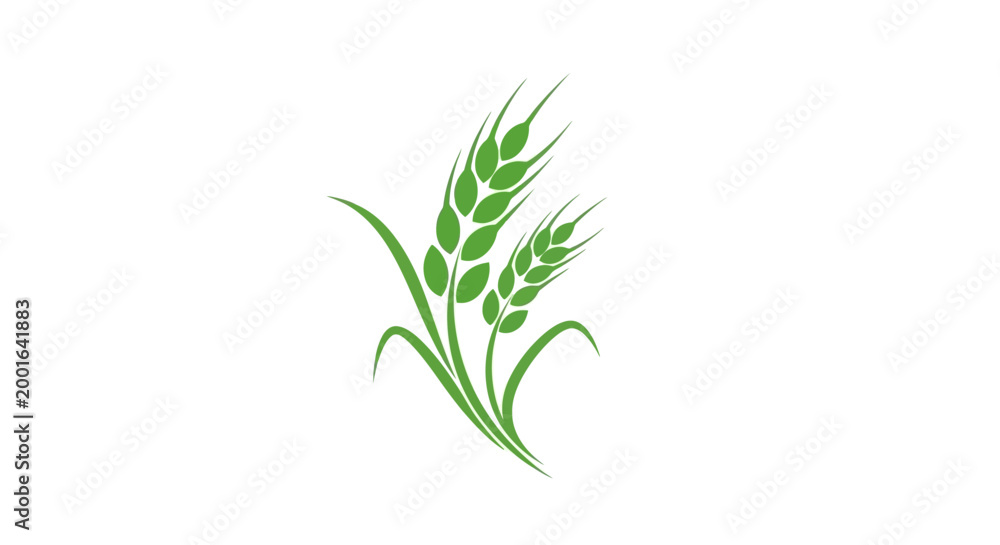Fototapeta premium A stylized illustration features two stalks of grain in shades of green on a white background