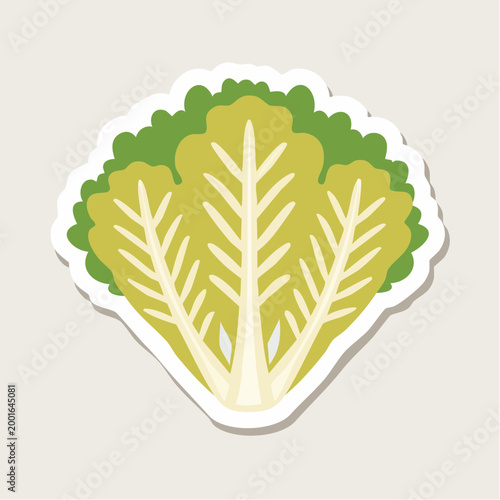 Stylized Illustration of a Chinese Cabbage Leaf