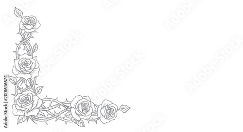 Elegant Rose and Thorn Border Design - Floral Corner Ornament