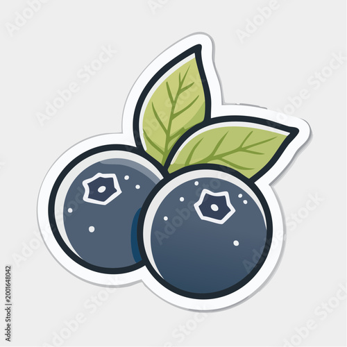 Stylized illustration of two blueberries with leaves